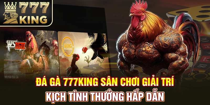 Đá gà 777King – Sân chơi giải trí kịch tính, thưởng hấp dẫn
