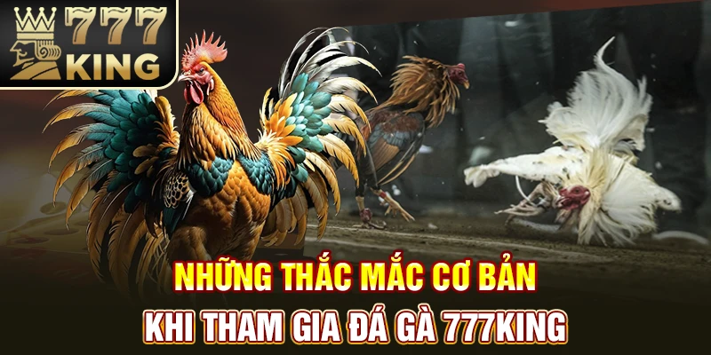 Những thắc mắc cơ bản khi tham gia đá gà 777king